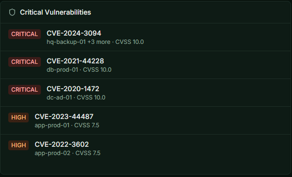 Critical vulnerabilities widget listing CVEs by severity